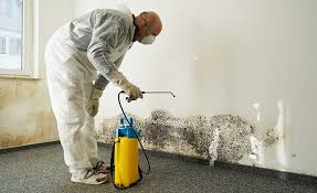 Best Industrial Mold Remediation  in Stratford, CA